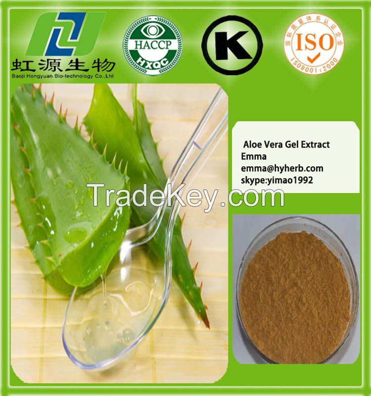 100% natural aloe vera extract powder