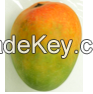 Mango IQF