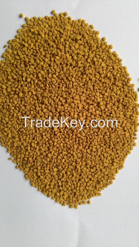 Fenugreek Seed