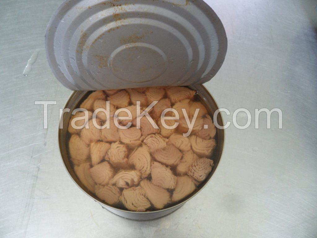 Canned Tuna / Canned Fish