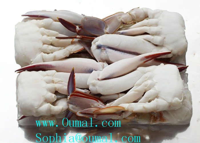 Three Spott Half Cut Crab