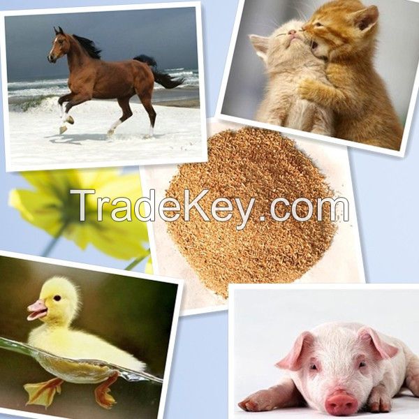 l-lysine poultry feed additives
