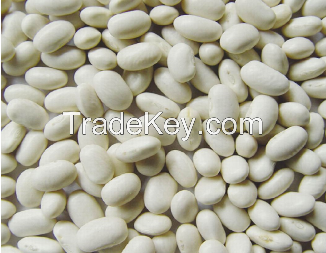 White Kidney beans from Africa