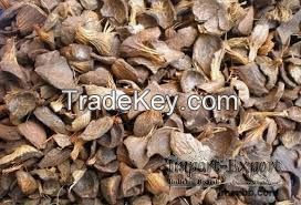 Palm Kernel Shell (PKS)