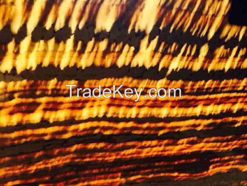 ZEBRA ONYX MARBLE ( BLOCKS, SLABS, TILES)