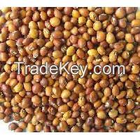 Pigeon peas