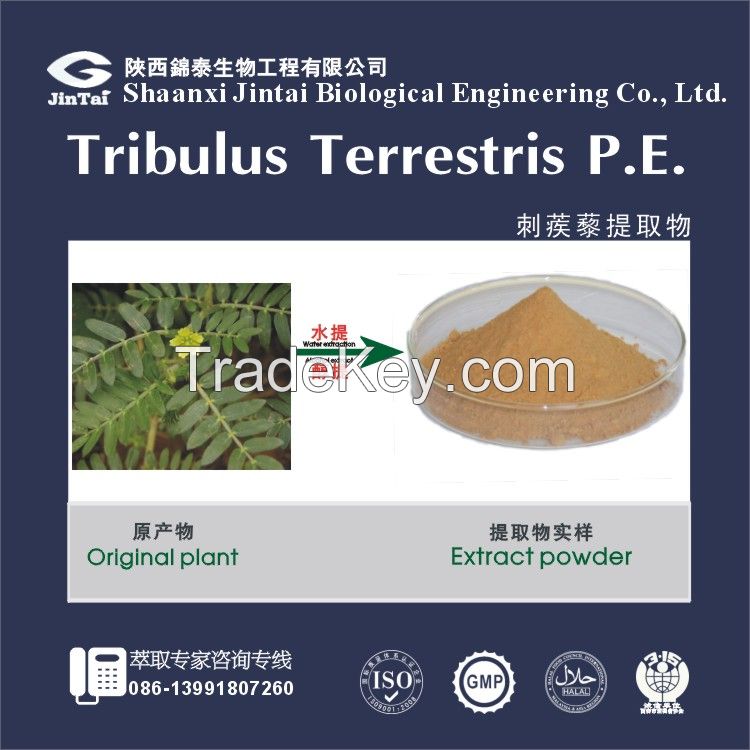 Best Price 40%/90% Saponins Tribulus Terrestris Extract