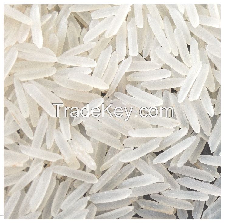 5% broken long grain Jasmine rice for export