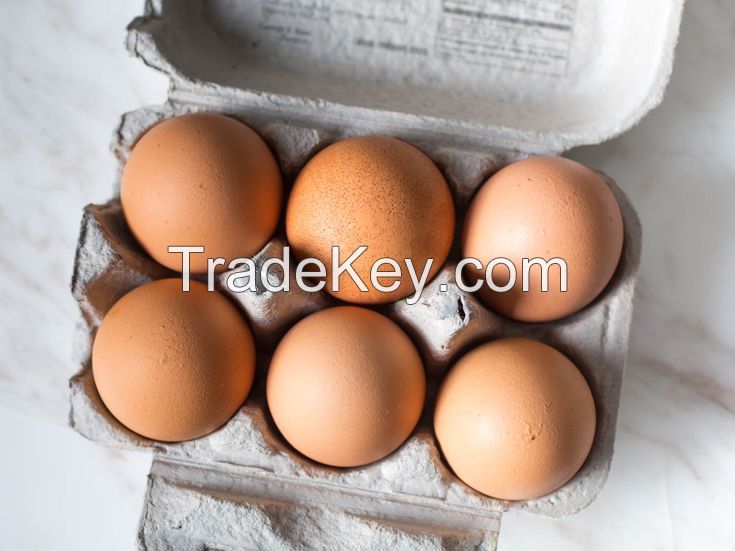 Fertilized Chicken Eggs/ Cobb 500 Broiler Chicken Eggs/Fresh Cobb 700 Fertile eggs