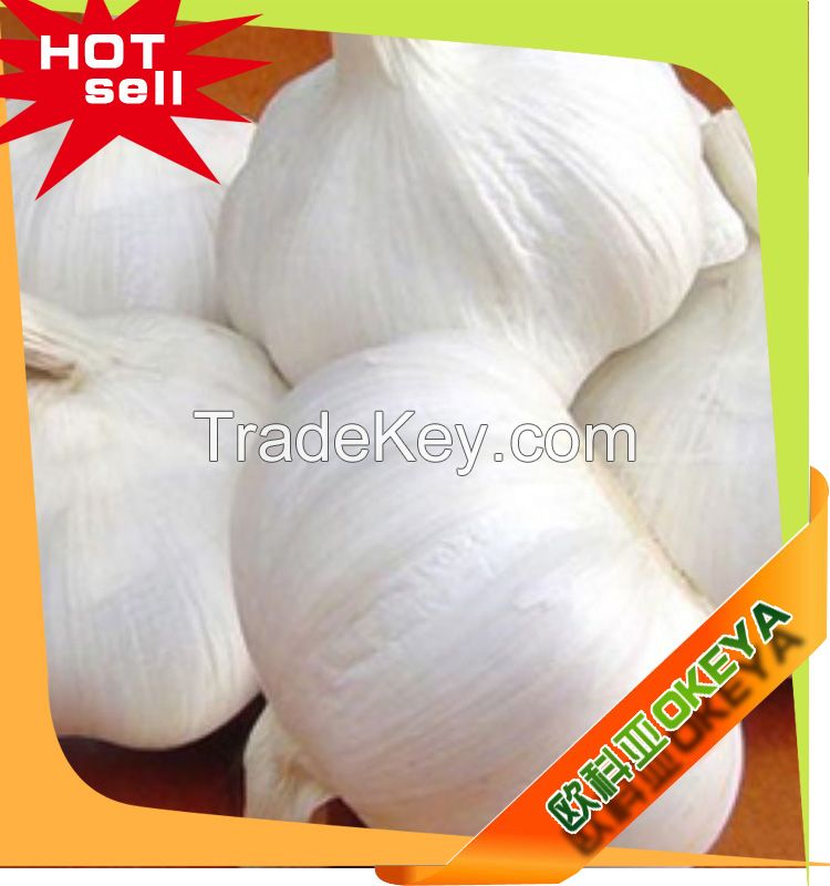 white garlic