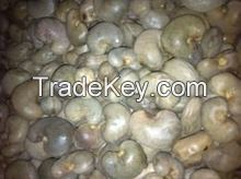 Raw Cashew Nuts