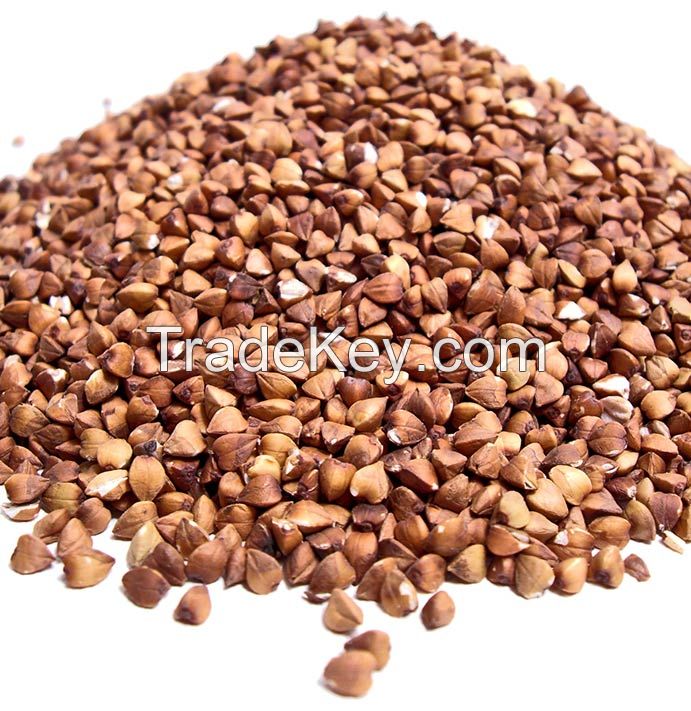 Buckwheat