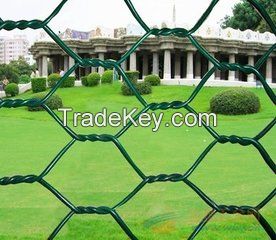 Hexagonai Wire Mesh