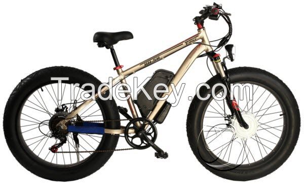 Wholesale Electric Bike CE Approved Fat Brushless Hub Motor Electric Bicycle