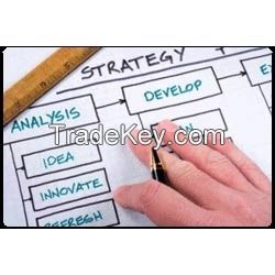 Ecommerce Strategy Consulting Service