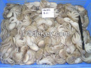 dried seafood fish