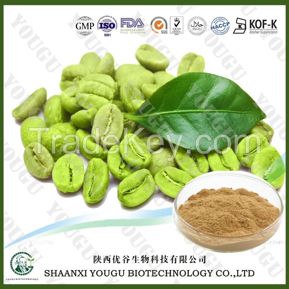 Green Coffee Bean Extract.Free Sample Green Coffee Bean Extract Powder.Green Coffee Extract