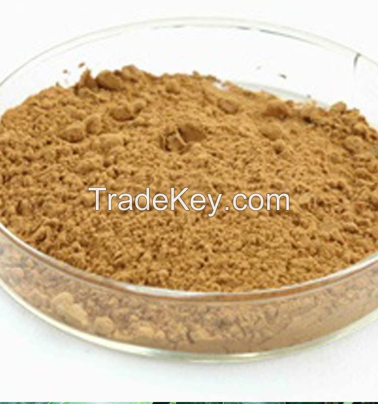 Green Coffee Bean Extract.Free Sample Green Coffee Bean Extract Powder.Green Coffee Extract
