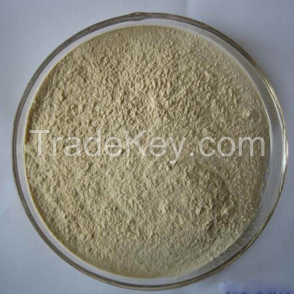 Natural 20%-98% Gypenoside UV Gynostemma Pentaphyllum Extract, Gynostemma P.E., Gynostemma extract p