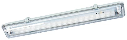 Fluorescent Lamp