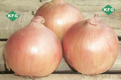 Onions