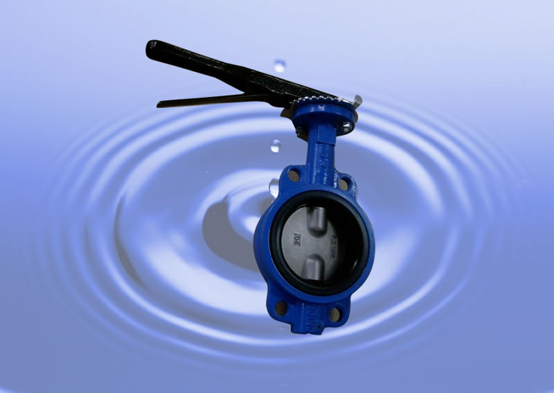 BUTTERFLY VALVE WITH PINLESS