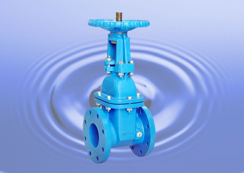 Gate Valve