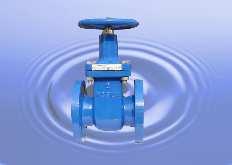 Gate Valve