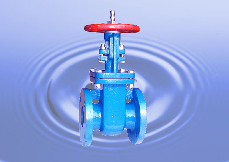 Gate Valve