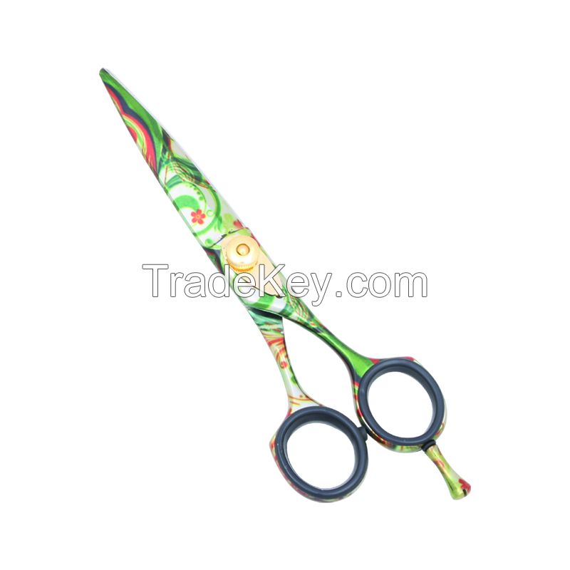 Hair Scissors