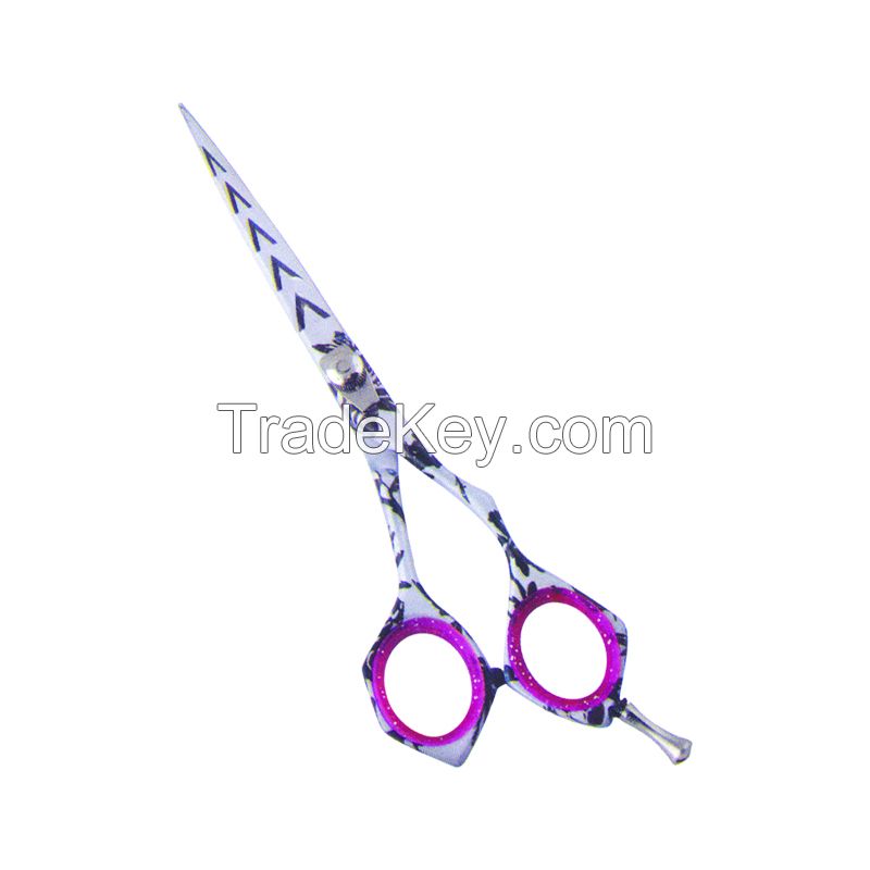 Hair Scissors