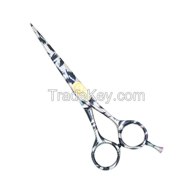 Hair Scissors