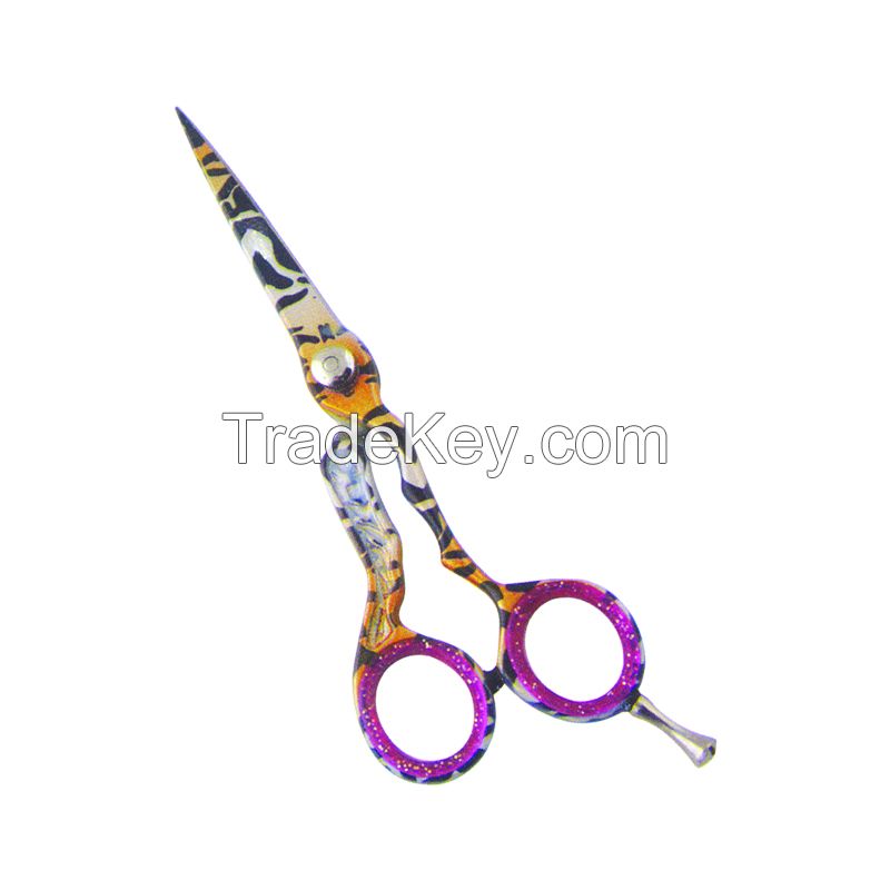 Hair Scissors