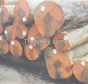 TEAK Wood