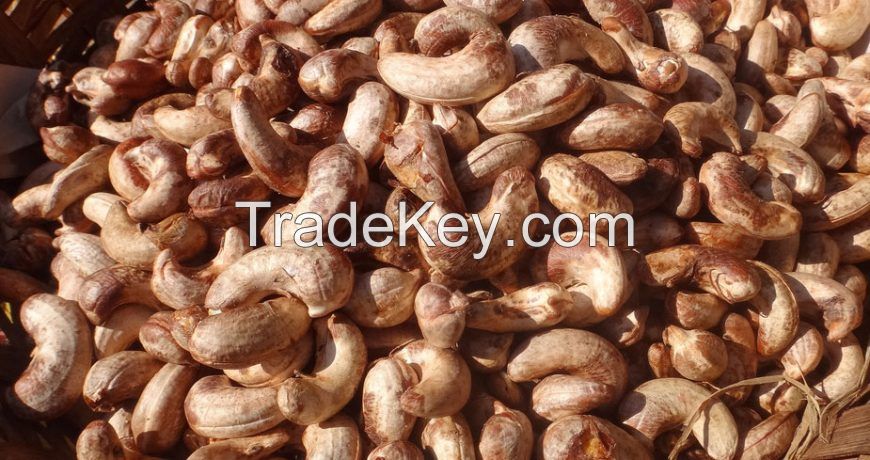 High Quality Nigerian Cashew Nut