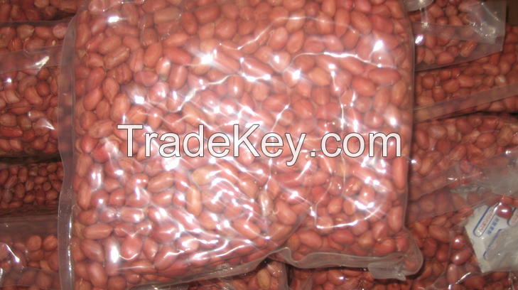  Raw Peanuts in Shell 9-11,11-13 Specification from USA AND AFRICA 