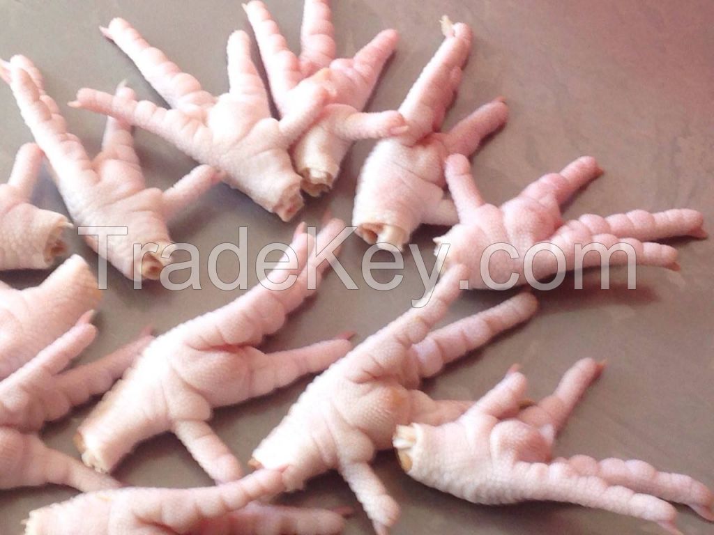 BRAZIL HALAL FROZEN WHOLE CHICKEN, FROZEN CHICKEN PAWS FROZEN PROCESSED CHICKEN FEET