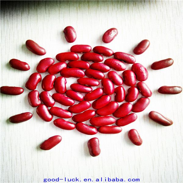 british type red kidney beans