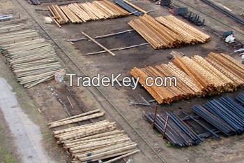 wooden impregnated poles for power transmission and electrical communication lines