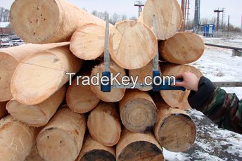 wooden impregnated poles for power transmission and electrical communication lines