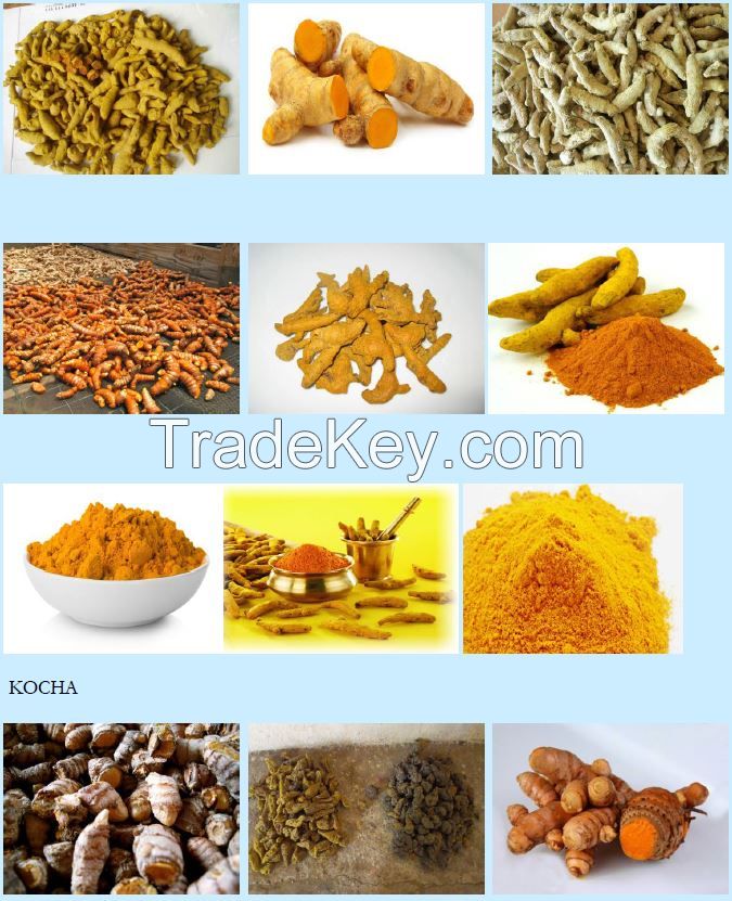 Varieties of Turmeric