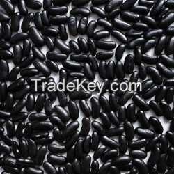 100% Black, red and white Kidney Beans for sale