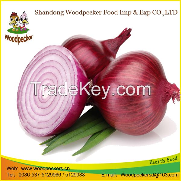 fresh onion prices in india