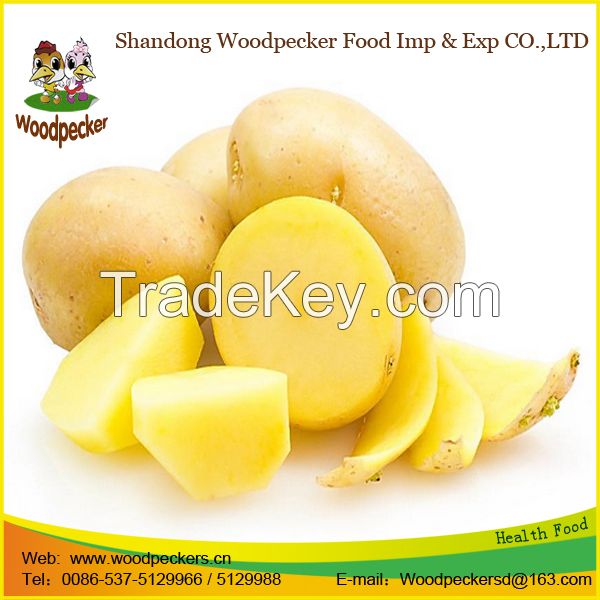 fresh potato importers in dubai