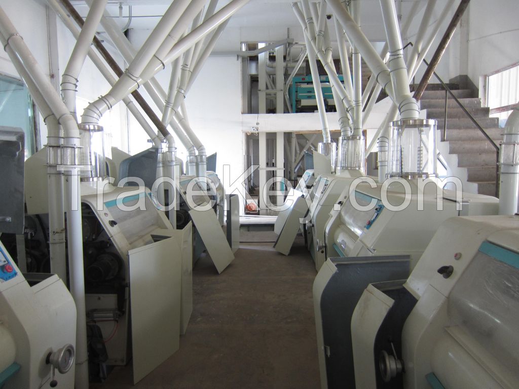 100tpd compact rice flour mill 