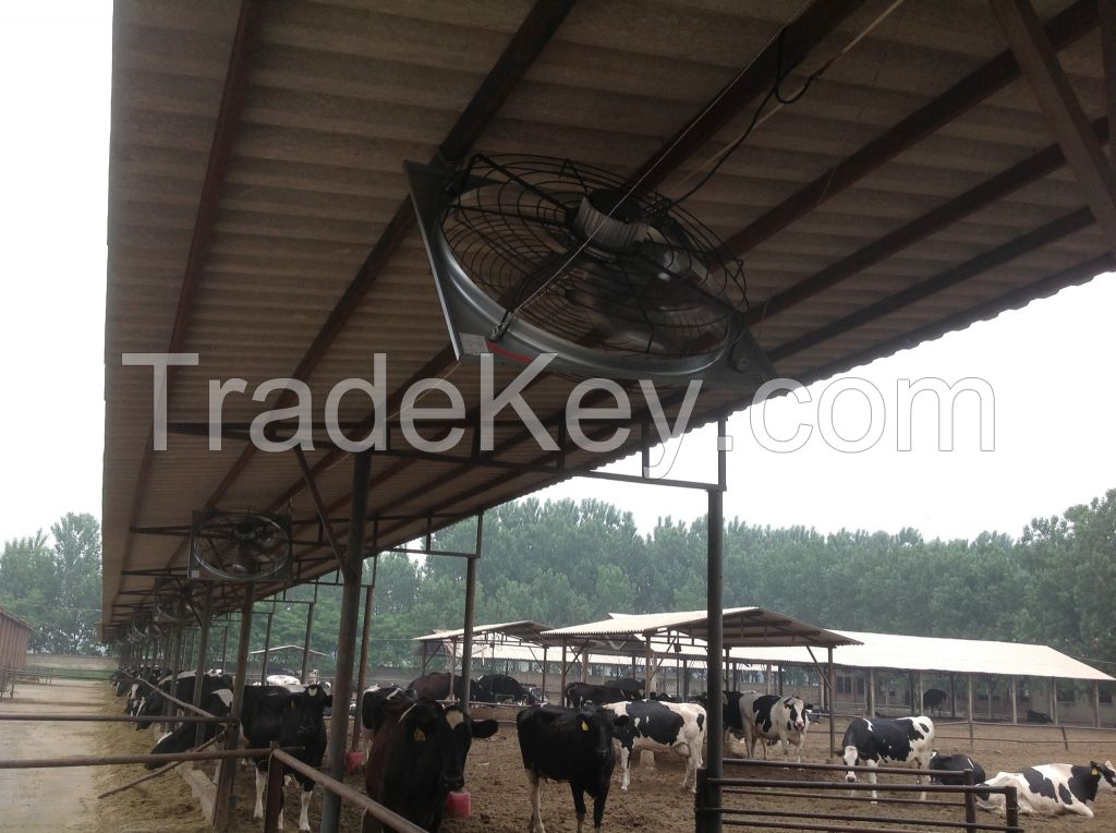 ventilation  cow  house  exaust  fan