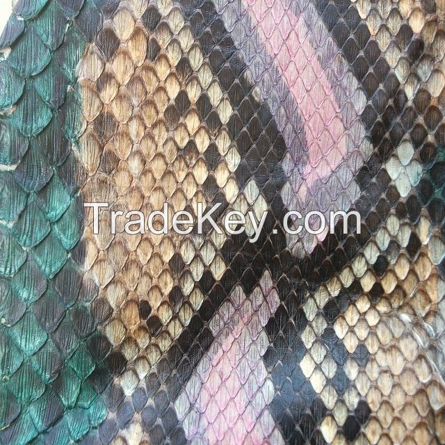 Snake Skin