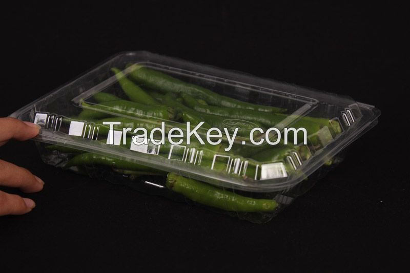 Transparent Plastic Clamshell Packaging Food Grade