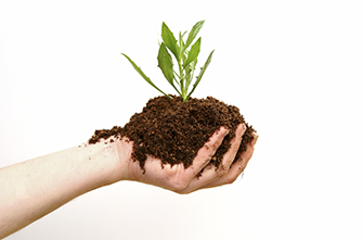 Organic Fertilizer for Agricultural Land