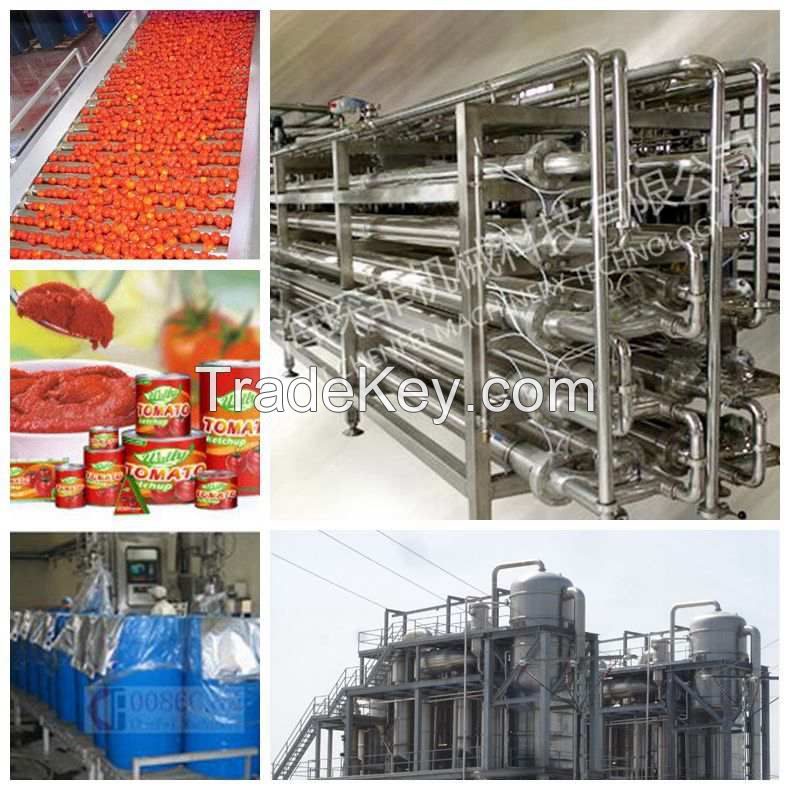 tomato paste production line